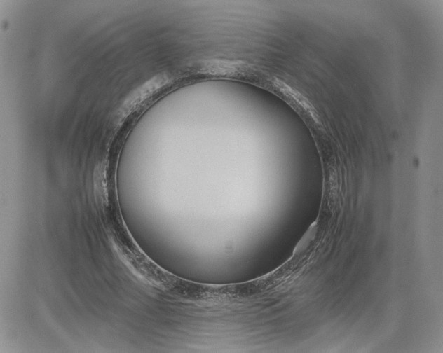 X0000081450682200701261913