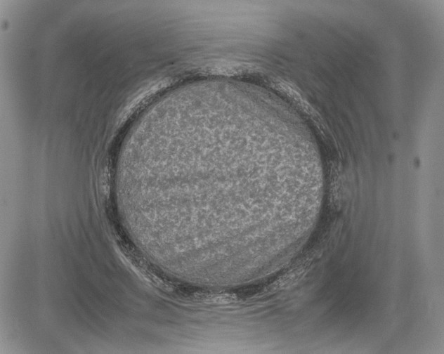 X0000081450683200701261913