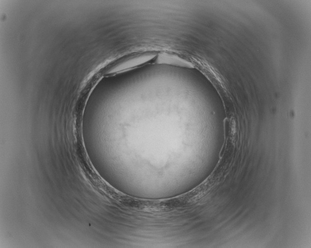 X0000081450684200701261913