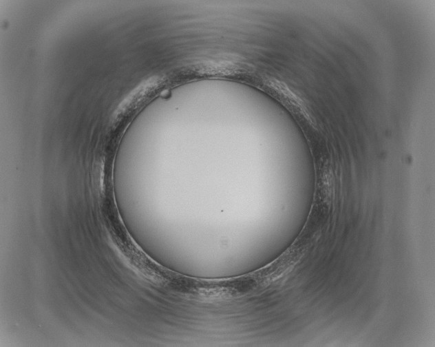 X0000081450686200701261913