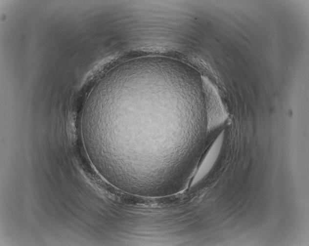 X0000081450688200701261913