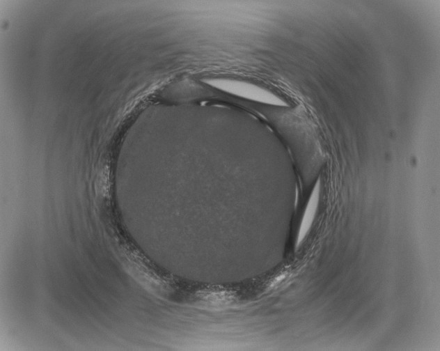 X0000081450689200701261913