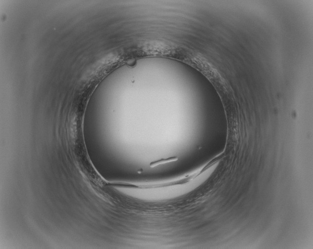 X0000081450690200701261913