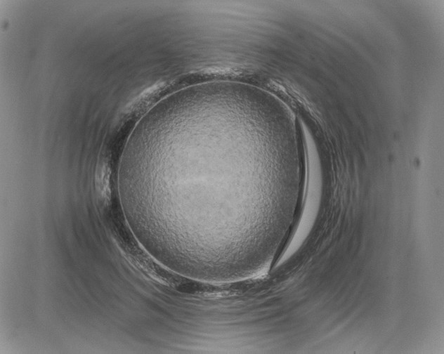 X0000081450692200701261913