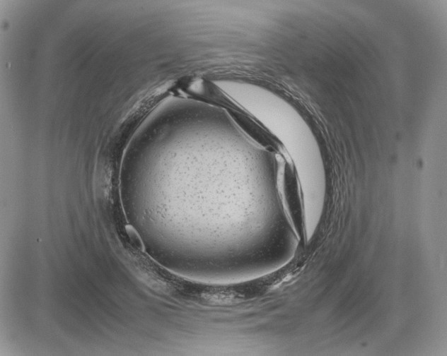 X0000081450693200701261913