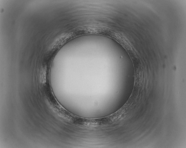 X0000081450694200701261913