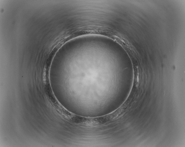 X0000081450696200701261913