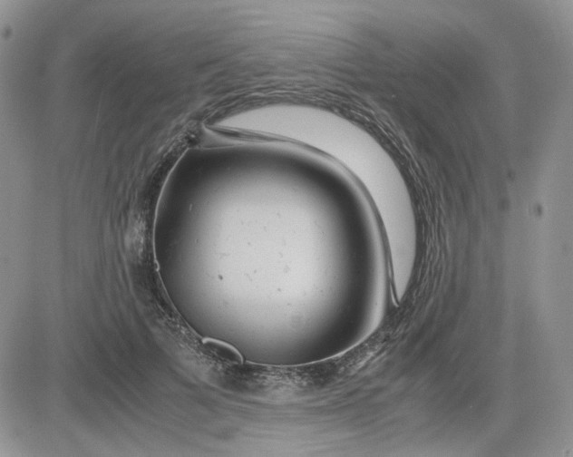 X0000081450697200701261913