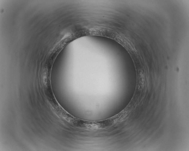 X0000081450698200701261913