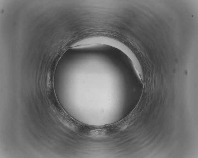 X0000081450700200701261913