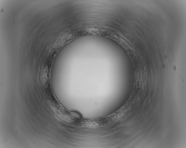 X0000081450702200701261913