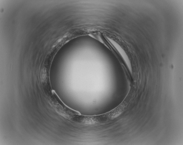 X0000081450704200701261913