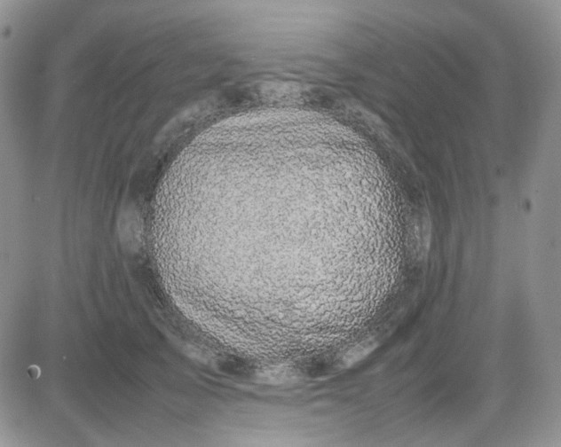 X0000081450705200701261913