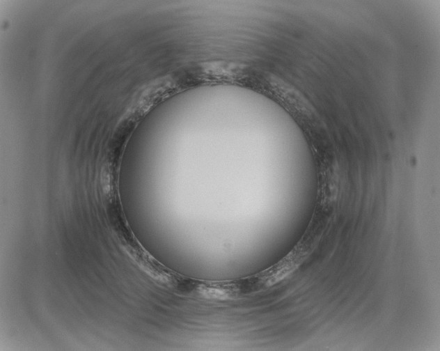 X0000081450706200701261913