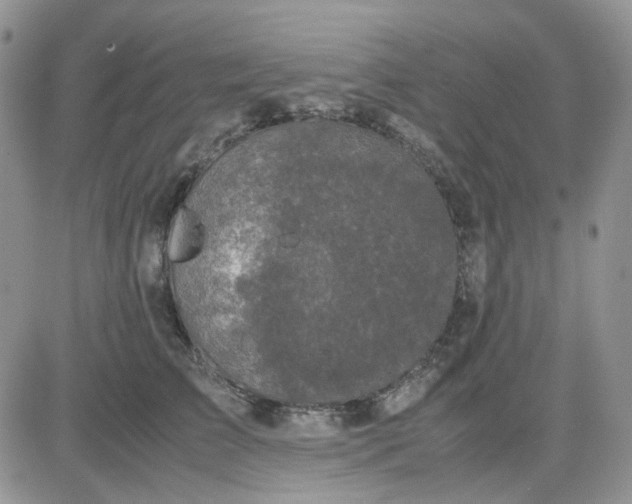 X0000081450709200701261913