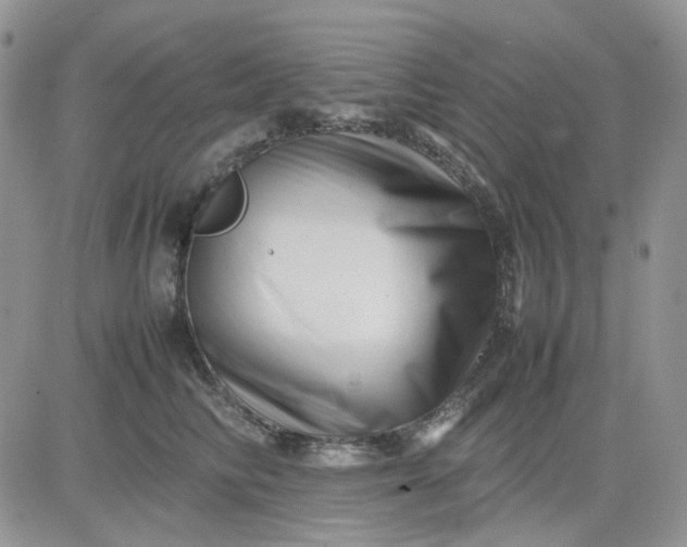 X0000081450710200701261913