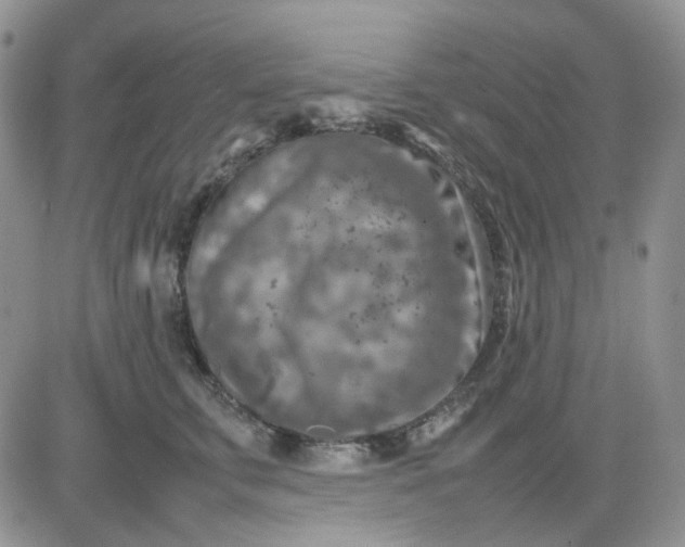 X0000081450711200701261913