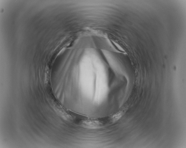 X0000081450712200701261913