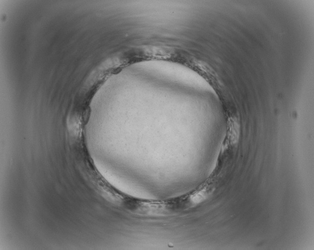 X0000081450713200701261913