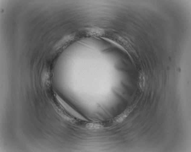 X0000081450714200701261913