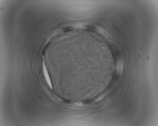 X0000081450715200701261913