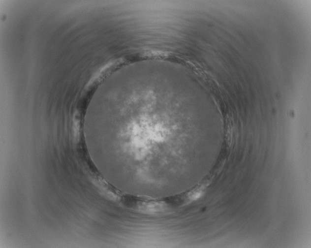 X0000081450716200701261913