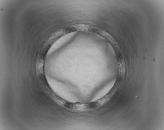 X0000081450717200701261913