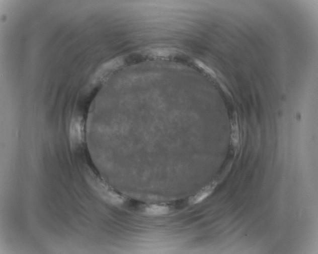 X0000081450718200701261913