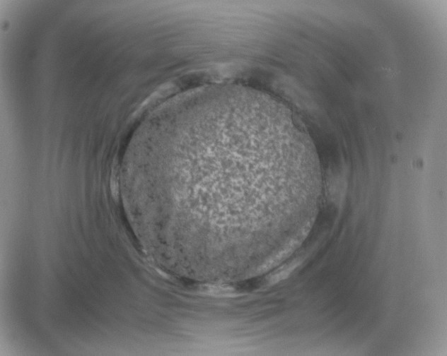 X0000081450719200701261913