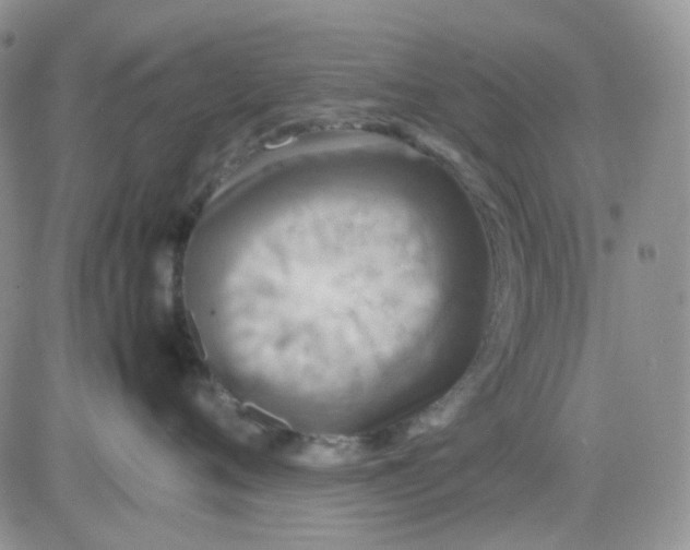 X0000081450720200701261913