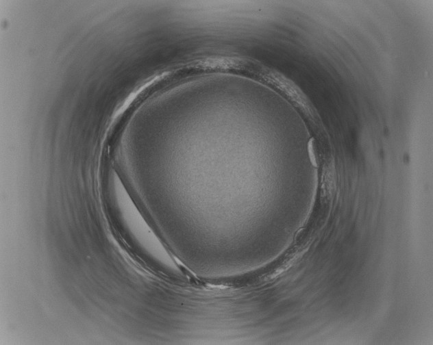 X0000081450722200701261912