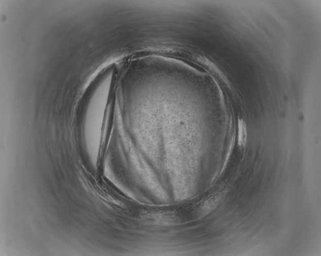 X0000081450723200701261912