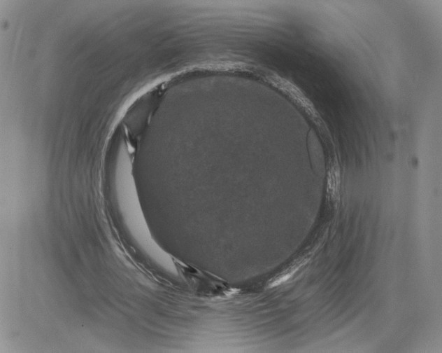 X0000081450724200701261912