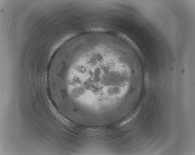 X0000081450725200701261912