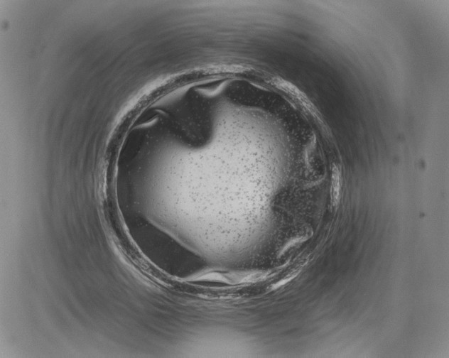 X0000081450726200701261912