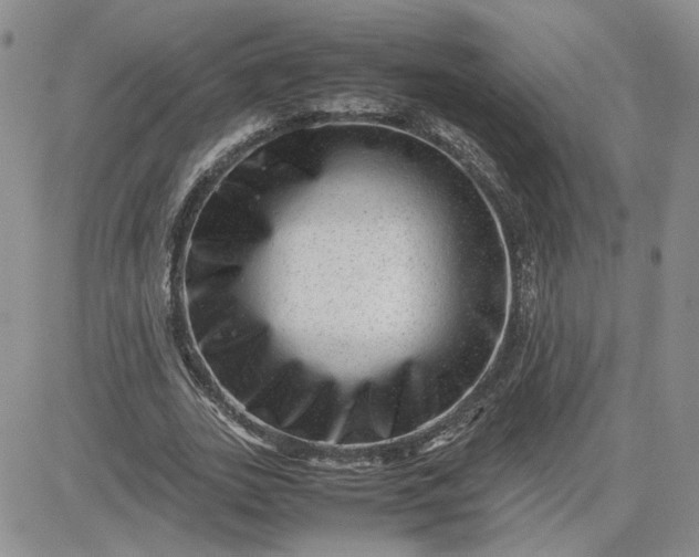 X0000081450727200701261912