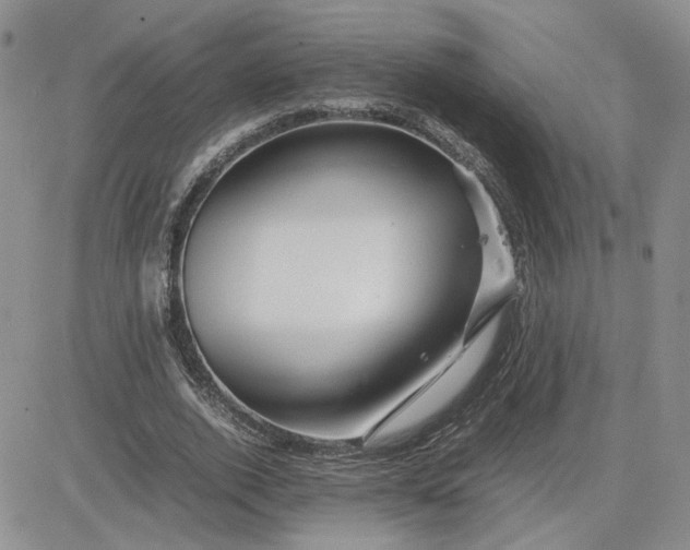 X0000081450728200701261912