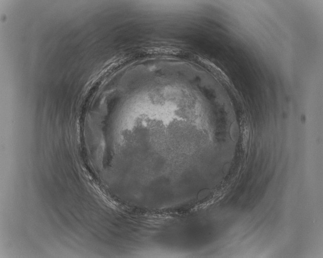 X0000081450729200701261912