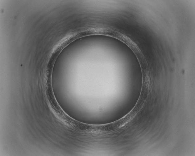 X0000081450730200701261912