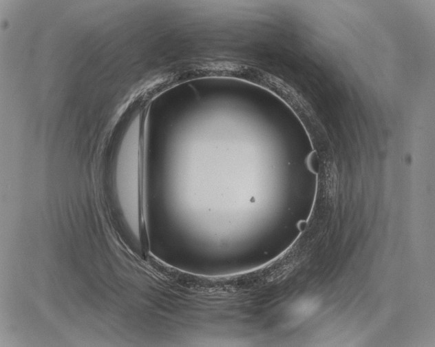 X0000081450731200701261912