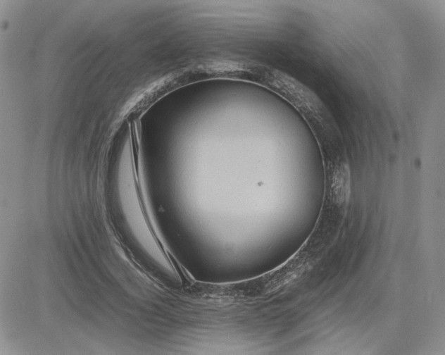 X0000081450732200701261912