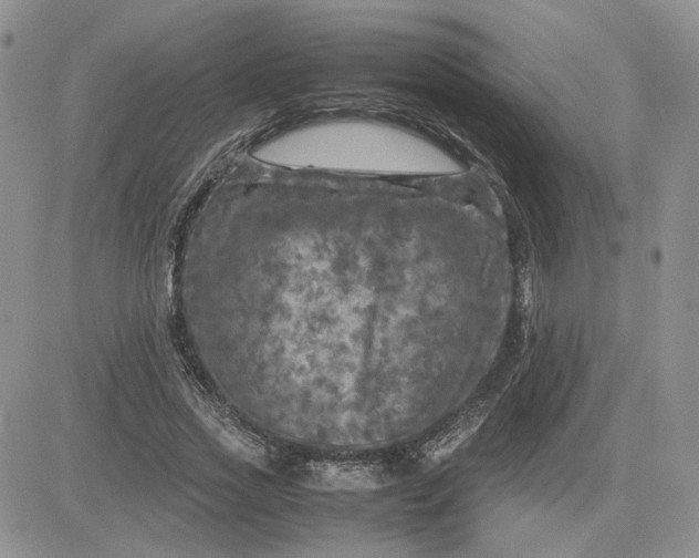 X0000081450733200701261912