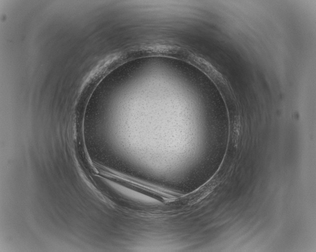 X0000081450734200701261912