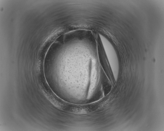 X0000081450735200701261912