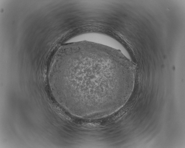 X0000081450737200701261912