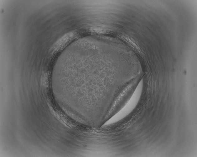 X0000081450738200701261912