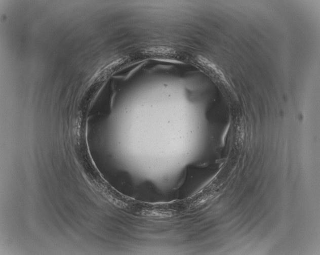 X0000081450739200701261912