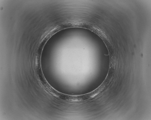 X0000081450740200701261912