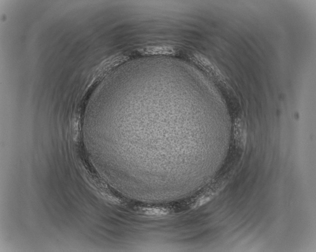 X0000081450741200701261912