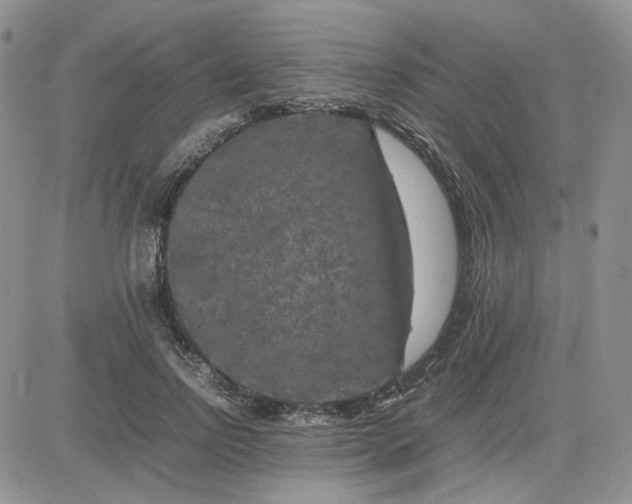 X0000081450742200701261912